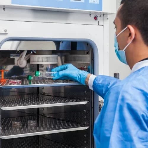 Laboratory technician accessing incubator with environmental monitoring equipment